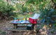 Little Llangothlin Picnic Area - thumb 0