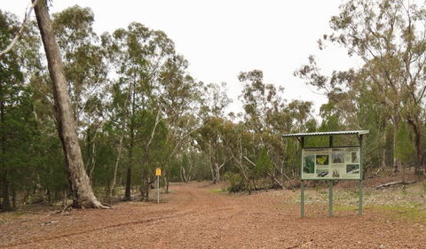 Little Llangothlin Picnic Area - Accommodation Fremantle 2