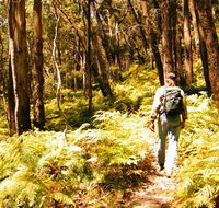 Federal Pass - Accommodation Fremantle