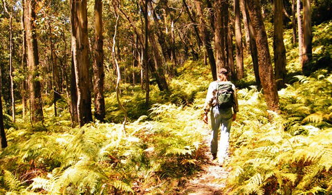 Federal Pass - Accommodation Fremantle 0