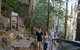 Federal Pass - thumb 3