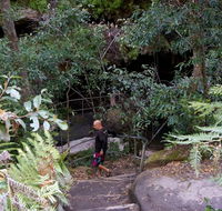 Leura Cascades Fern Bower - Accommodation Fremantle