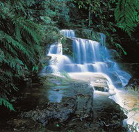 Leura Cascades - Accommodation Fremantle