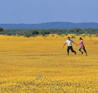 Wildflowers of the Mid West - Accommodation Fremantle