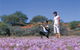 Wildflowers Of The Mid West - thumb 1