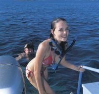 Seal Cove - Accommodation Fremantle