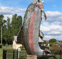 Big Trout - Accommodation Fremantle