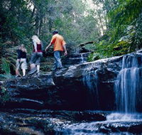 South Lawson Waterfall Circuit - Accommodation Fremantle