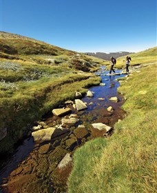 Australian Alps Walking Track - Accommodation Fremantle 0