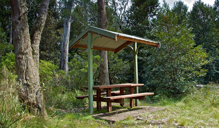 Wards River NSW Accommodation Fremantle