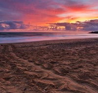 Mon Repos Beach - Accommodation Fremantle