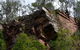 Mitchell River Walking Track - thumb 2