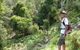 Mitchell River Walking Track - thumb 1