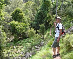 Mitchell River Walking Track - Accommodation Fremantle 1