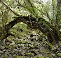 Mitchell River National Park - Accommodation Fremantle