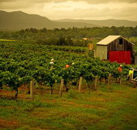 Around Hermitage Wine and Food Trail Hunter Valley - Accommodation Fremantle