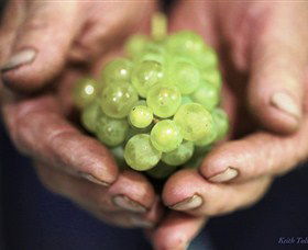 Keith Tulloch Wine - Accommodation Fremantle 1