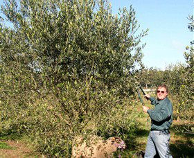 Langdale Farm - Accommodation Fremantle 3