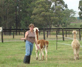 Langdale Farm - Accommodation Fremantle 4