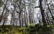 Mummel Gulf National Park - thumb 1