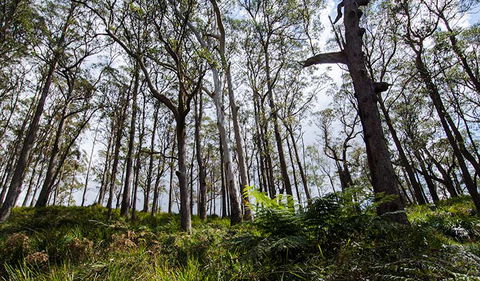 Mummel Gulf National Park - Accommodation Fremantle 1