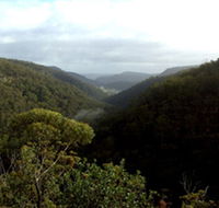 Nattai Gorge Lookout - Accommodation Fremantle