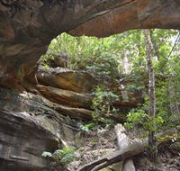 Cave Creek Walking Track - Accommodation Fremantle