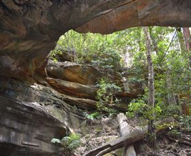 Cave Creek Walking Track - Accommodation Fremantle 0