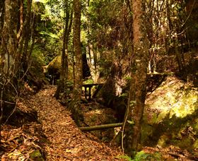 Cave Creek Walking Track - Accommodation Fremantle 2
