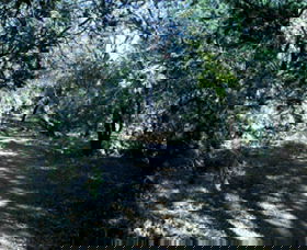 Cave Creek Walking Track - Accommodation Fremantle 3