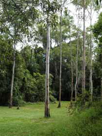Pioneer Country Park - Accommodation Fremantle 1