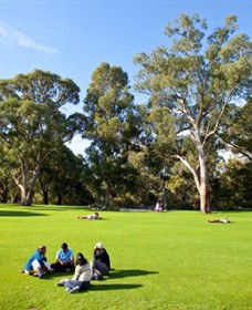 Kings Park And Botanic Garden - Accommodation Fremantle 1