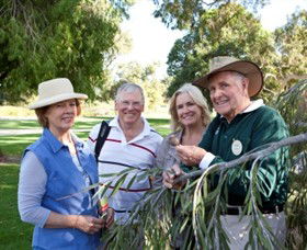Kings Park And Botanic Garden - Accommodation Fremantle 3