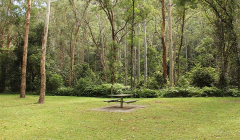 Mill Creek Picnic Area - Accommodation Fremantle 1