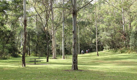Mill Creek Picnic Area - Accommodation Fremantle 3