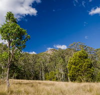 Brush Turkey track - Accommodation Fremantle