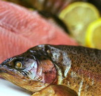 Lovedale Smokehouse Gourmet Pantry Cafe and Masterclasses - Accommodation Fremantle