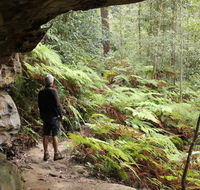 Dharug National Park - Accommodation Fremantle
