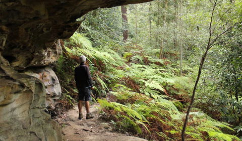 Dharug National Park - Accommodation Fremantle 0