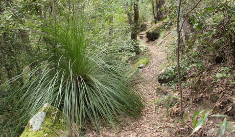 Dharug National Park - Accommodation Fremantle 2