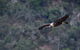 Oxley Wild Rivers National Park - thumb 2