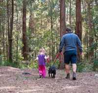 Olney State Forest - Watagan Mountains - Accommodation Fremantle