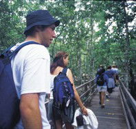 Bellthorpe National Park - Accommodation Fremantle
