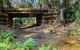 Myrtle Scrub Scenic Drive - thumb 0