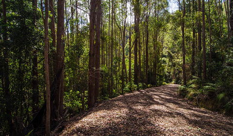 Myrtle Scrub Scenic Drive - Accommodation Fremantle 1