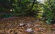 Myrtle Scrub Scenic Drive - thumb 2