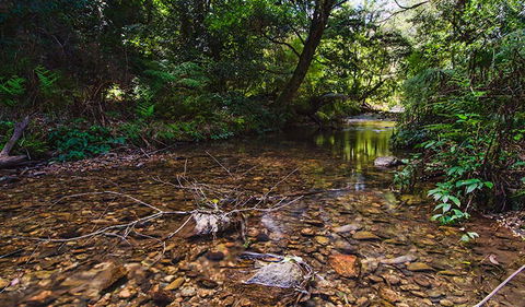 Myrtle Scrub Scenic Drive - Accommodation Fremantle 2