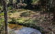 Myrtle Scrub Scenic Drive - thumb 3