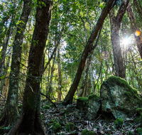 Copeland Tops State Conservation Area - Accommodation Fremantle