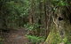 Jerusalem Creek Trail - thumb 1